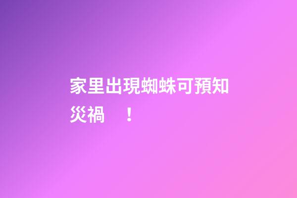 家里出現蜘蛛可預知災禍！